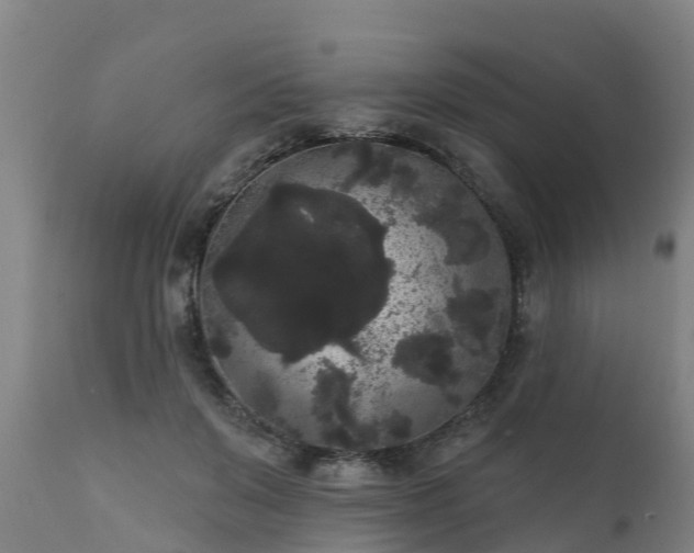 X0000111460503200907201116