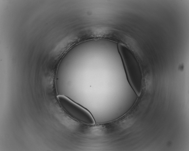 X0000111460505200907201116