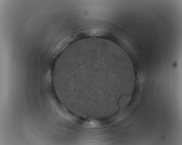 X0000111460506200907201116