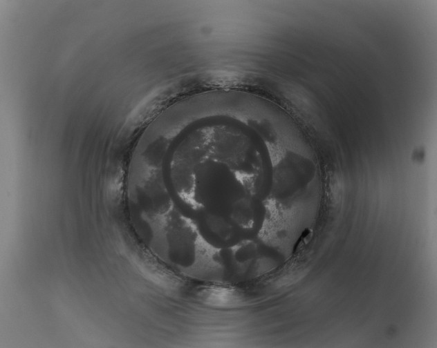 X0000111460507200907201116