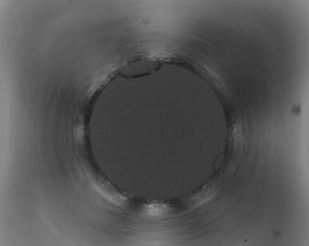 X0000111460508200907201116