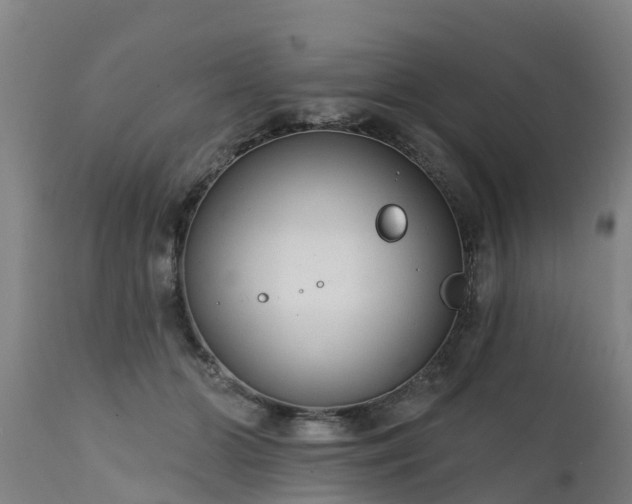 X0000111460510200907201116