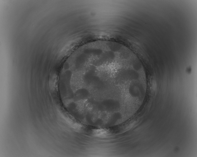 X0000111460511200907201116