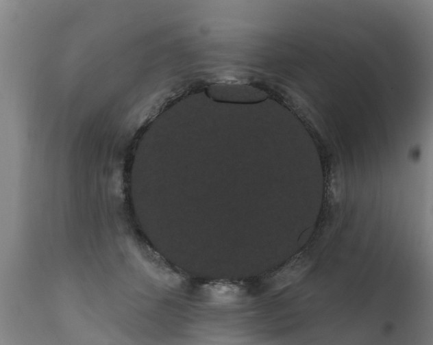 X0000111460512200907201116