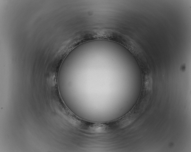 X0000111460514200907201116