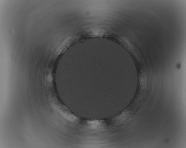 X0000111460516200907201116