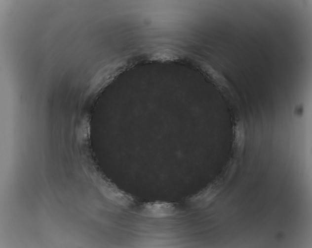 X0000111460517200907201116