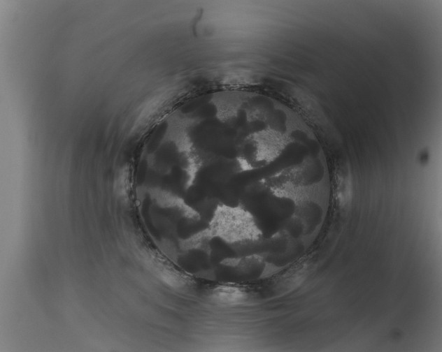 X0000111460519200907201116