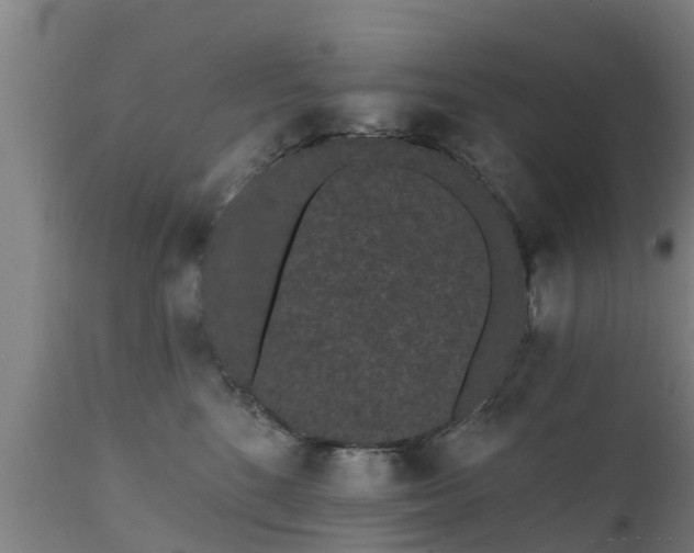 X0000111460520200907201116