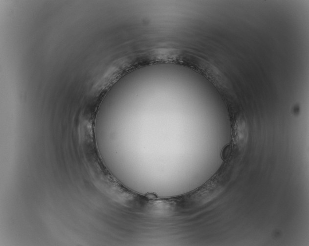 X0000111460522200907201116