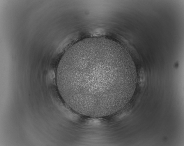 X0000111460523200907201116