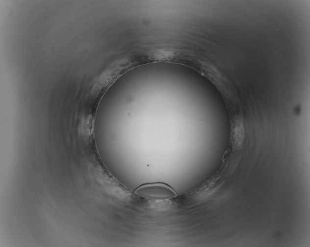 X0000111460525200907201116