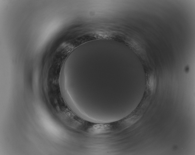 X0000111460526200907201116