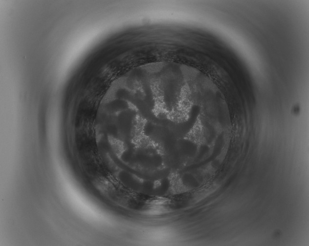 X0000111460527200907201116