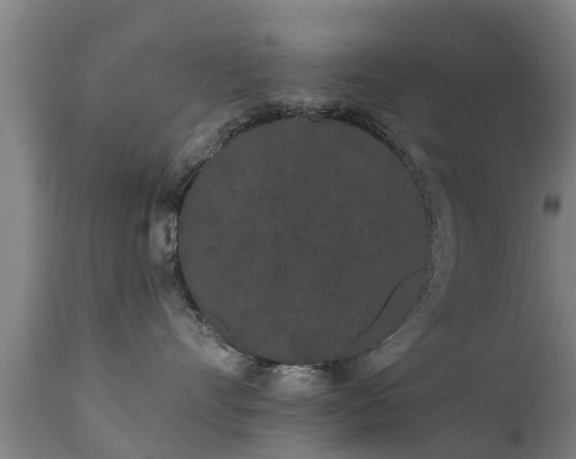 X0000111460528200907201116