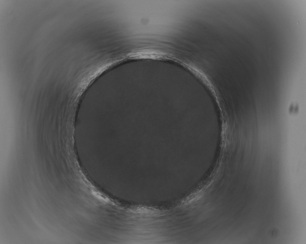 X0000111460529200907201115