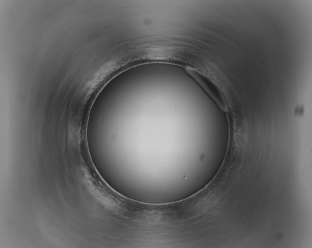 X0000111460530200907201115