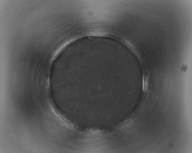 X0000111460531200907201115