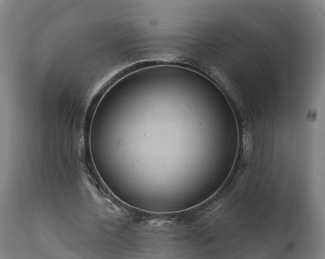 X0000111460532200907201115