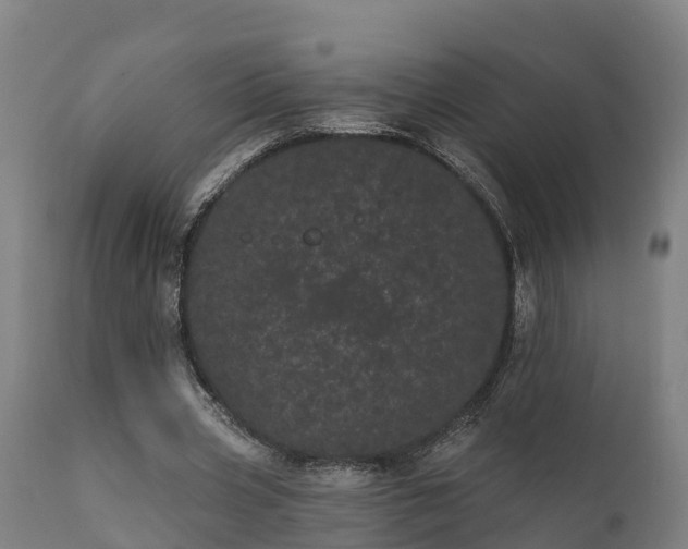 X0000111460533200907201115