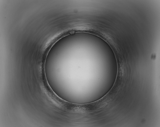 X0000111460535200907201115