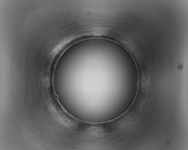 X0000111460536200907201115