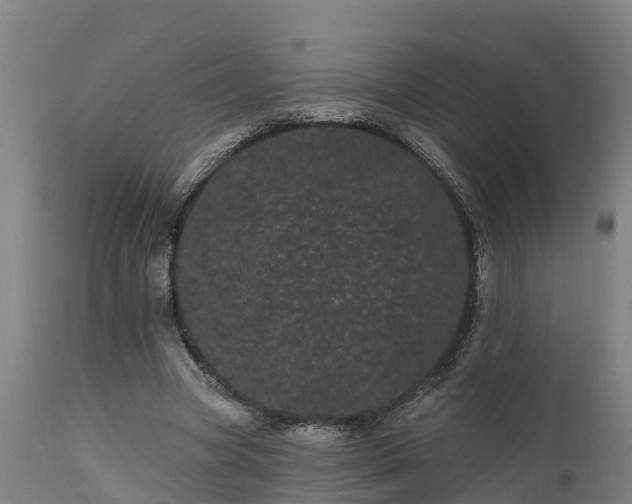 X0000111460537200907201115