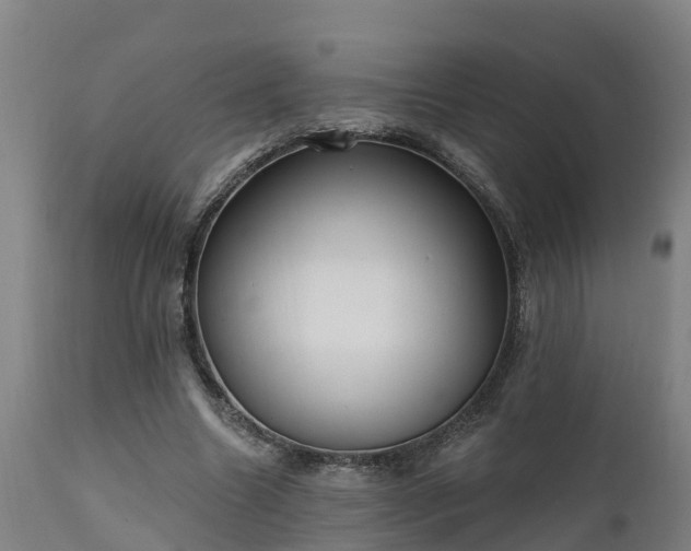 X0000111460538200907201115