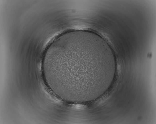 X0000111460539200907201115