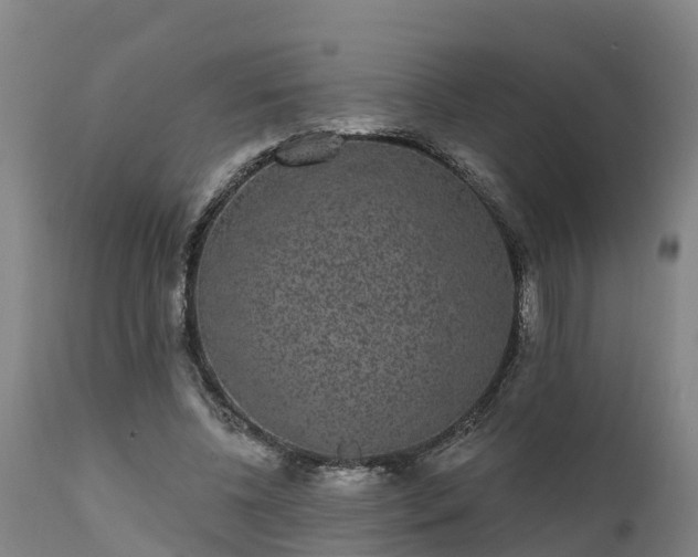 X0000111460540200907201115