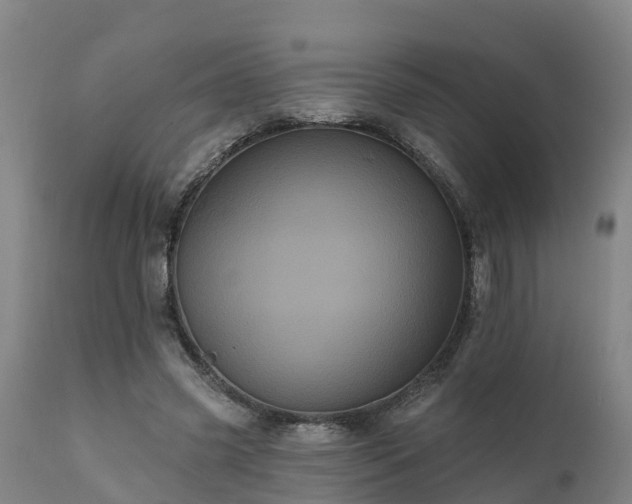 X0000111460541200907201115