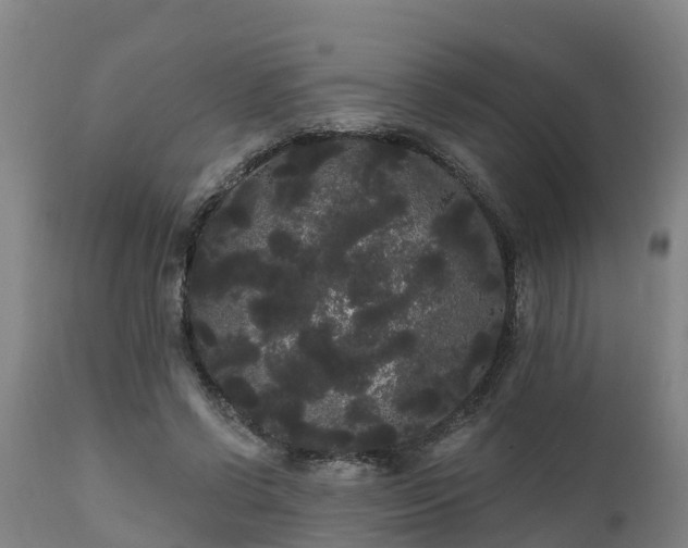 X0000111460542200907201115