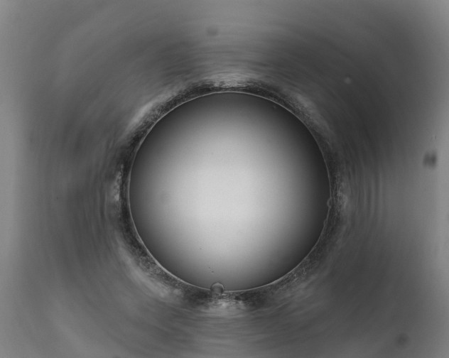 X0000111460543200907201115