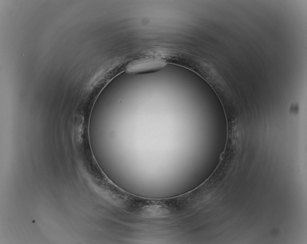 X0000111460544200907201115