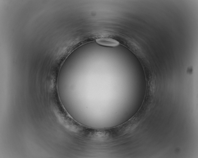 X0000111460546200907201115