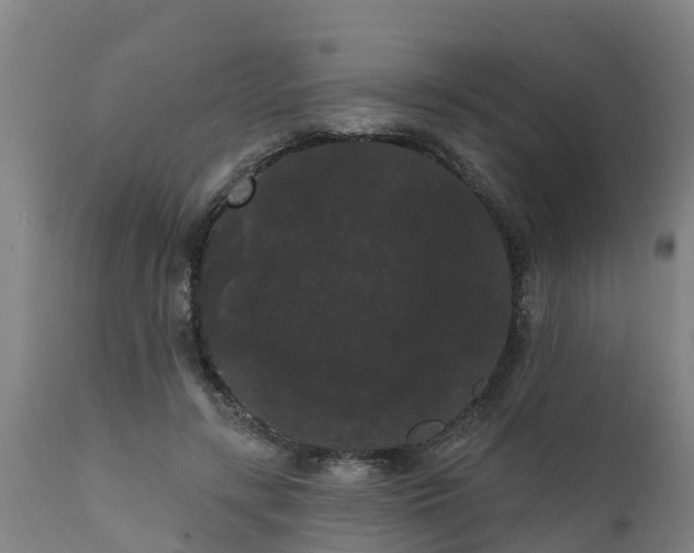 X0000111460547200907201115