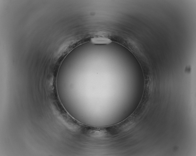 X0000111460548200907201115