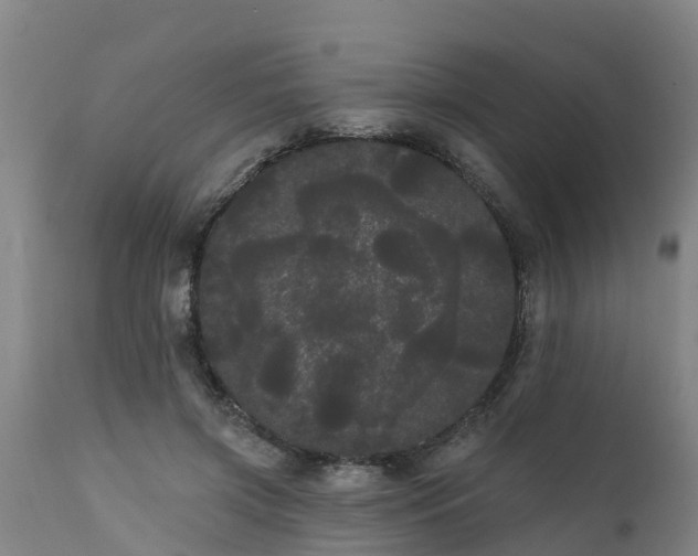 X0000111460549200907201115