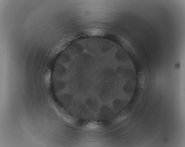 X0000111460550200907201115