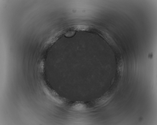 X0000111460551200907201115