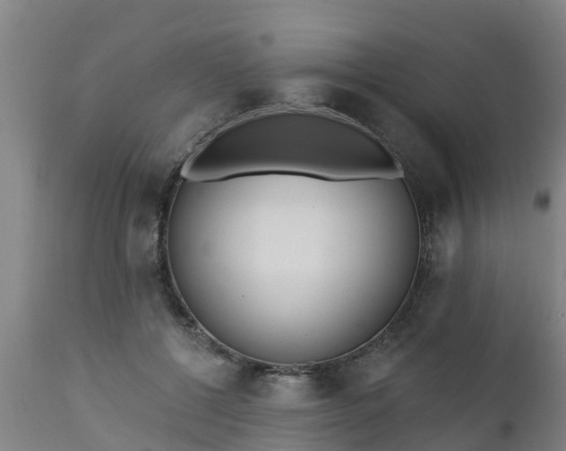 X0000111460552200907201115