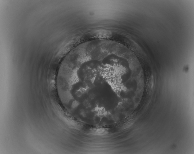 X0000111460553200907201115