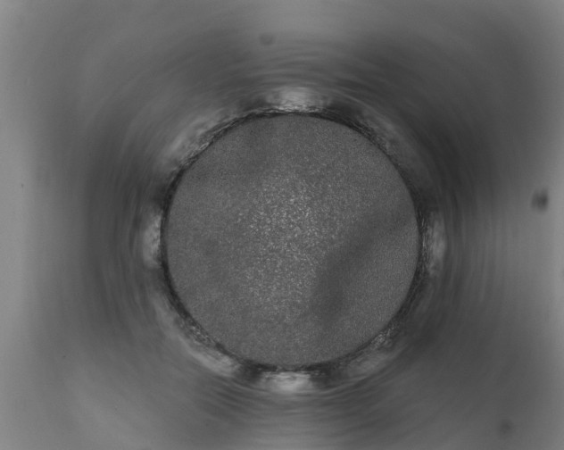 X0000111460554200907201115