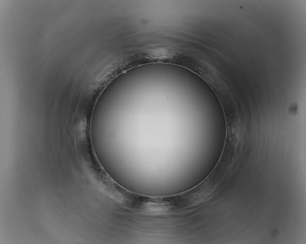 X0000111460556200907201115