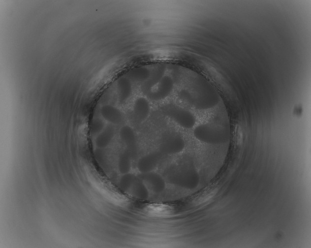 X0000111460557200907201115