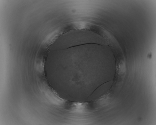 X0000111460558200907201115