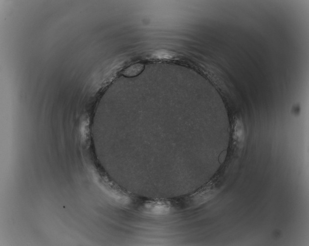 X0000111460559200907201115