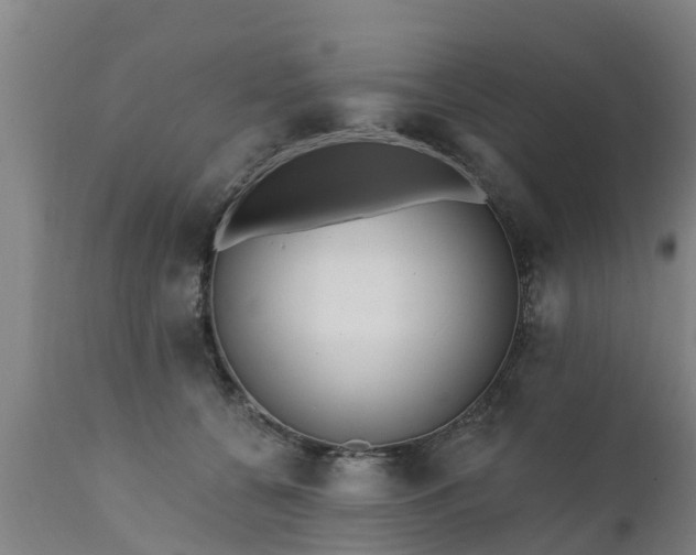 X0000111460560200907201115