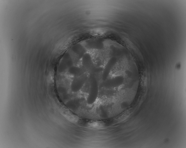 X0000111460561200907201115