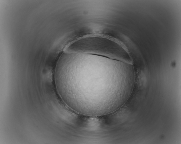 X0000111460562200907201115